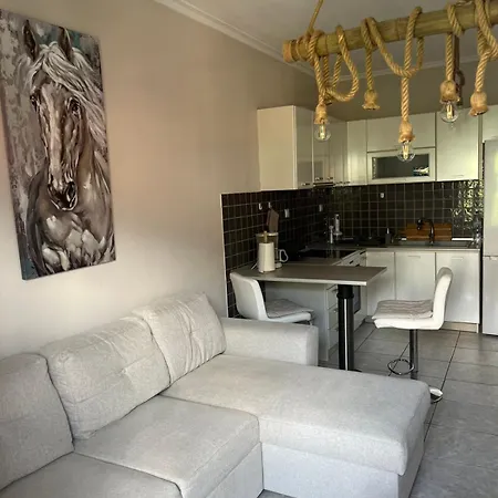 Amaltheia Литохоро